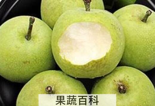 青皮梨的功效与作用及禁忌