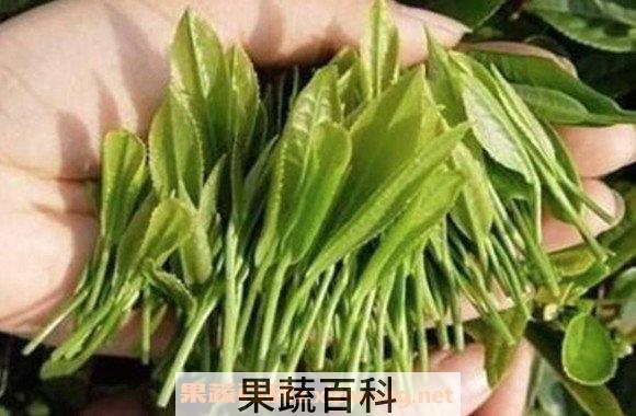 富硒茶