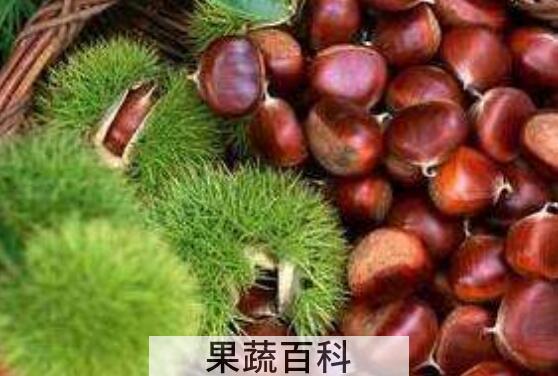 生板栗和熟板栗的功效与作用
