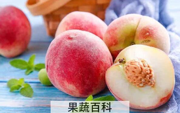 蒸桃子的功效与作用