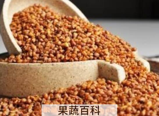 苦荞麦茶的食用方法 苦荞麦茶的正确喝法
