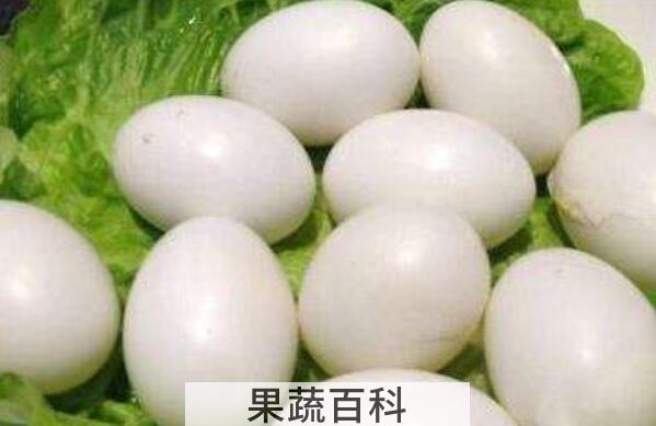 吃鸽子蛋的好处和坏处