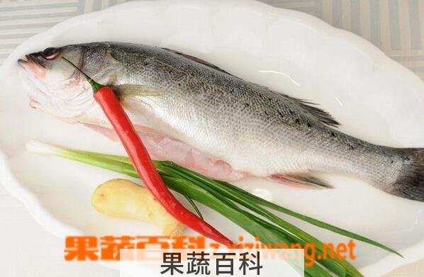 果蔬百科鲈鱼