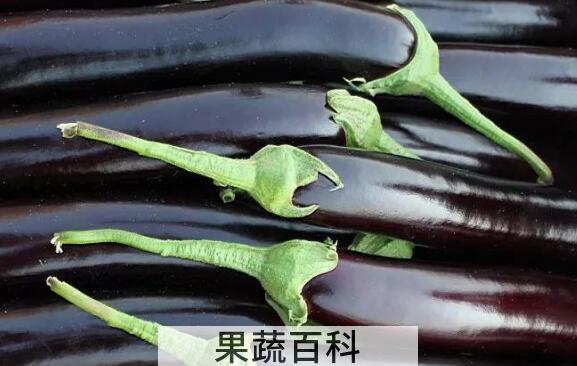 茄子蒂煮水哪些人能喝 茄子蒂煮水禁忌 