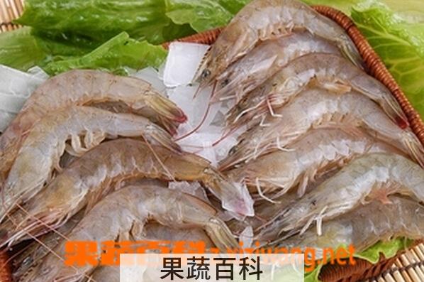 果蔬百科吃虾不能吃什么水果