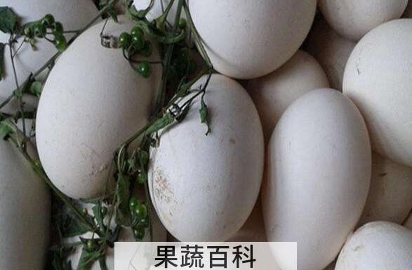 大雁蛋怎么吃 大雁蛋的家常做法大全