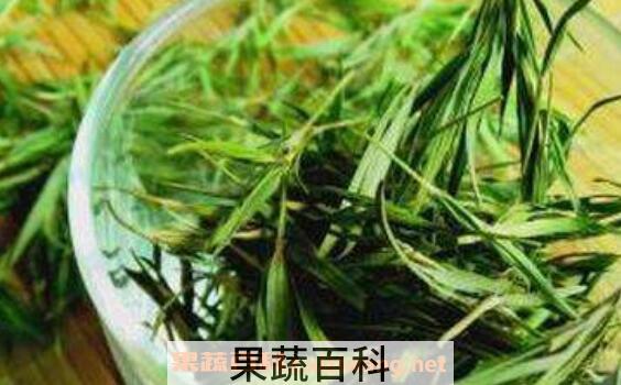 石竹茶的功效与禁忌 石竹茶的副作用