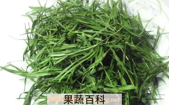 石竹茶的功效与禁忌 石竹茶的副作用