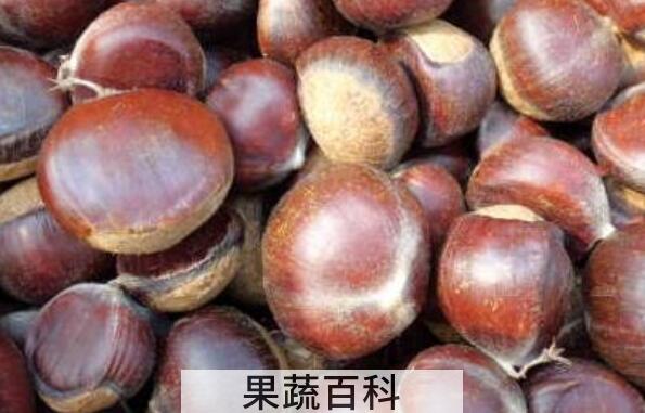 剥好的生板栗如何保存