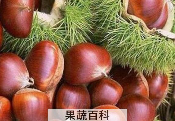 怎么剥生板栗壳更容易