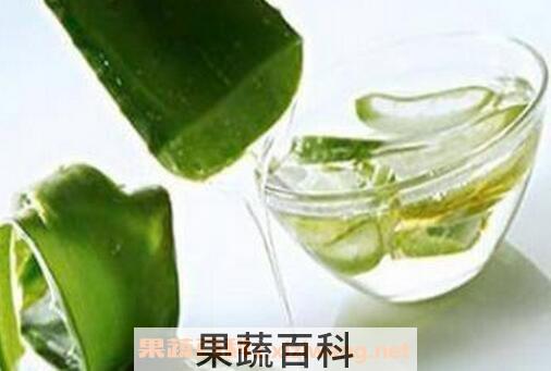 芦荟的神奇功效与用法