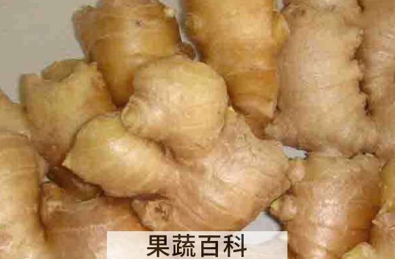 山明姜和东材姜的区别 吃山明姜的好处