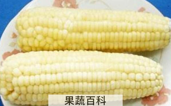 糯玉米的功效与作用 吃糯玉米的好处