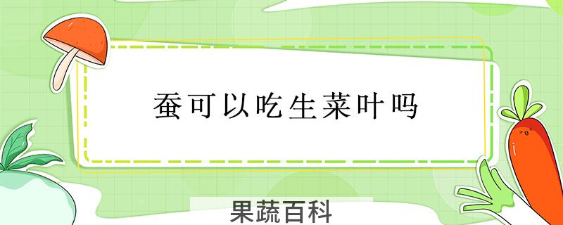 蚕可以吃生菜叶吗