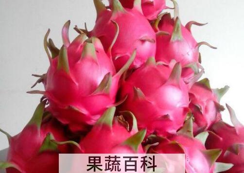 小孩吃火龙果有什么好处