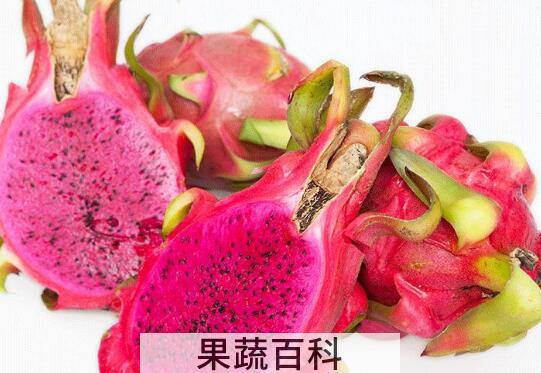 小孩吃火龙果有什么好处