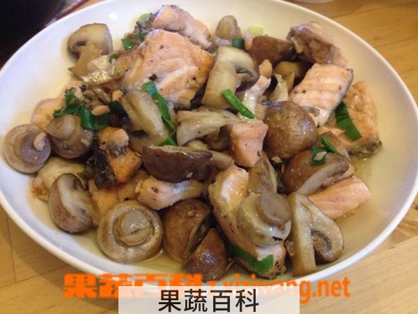 果蔬百科鱼和蘑菇