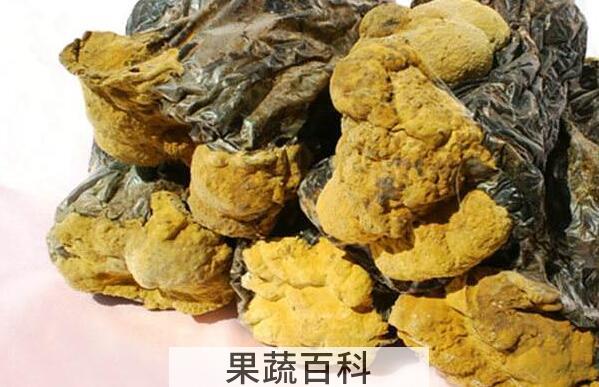 桑黄菇的功效与作用 桑黄菇的食用方法