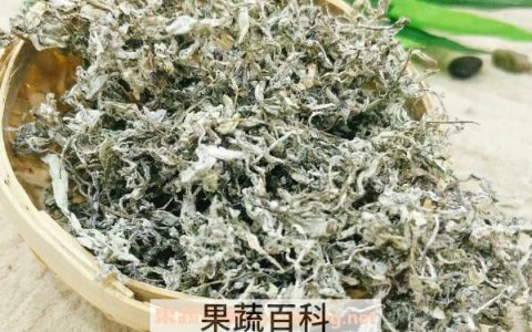 新莓茶的作用与功效 喝新莓茶的好处有哪些