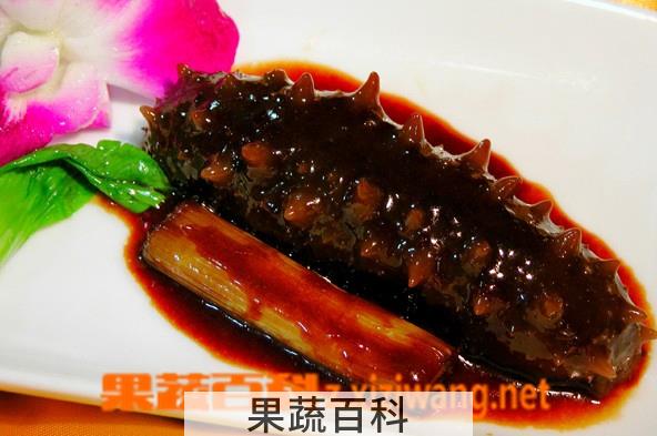 果蔬百科葱烧海参