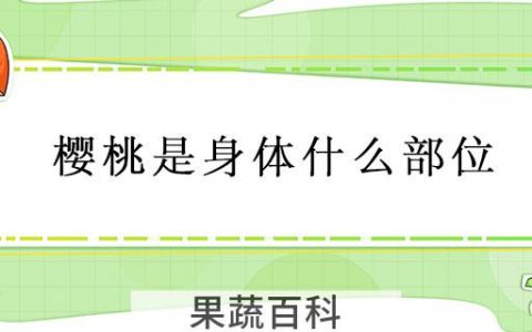 樱桃是身体什么部位