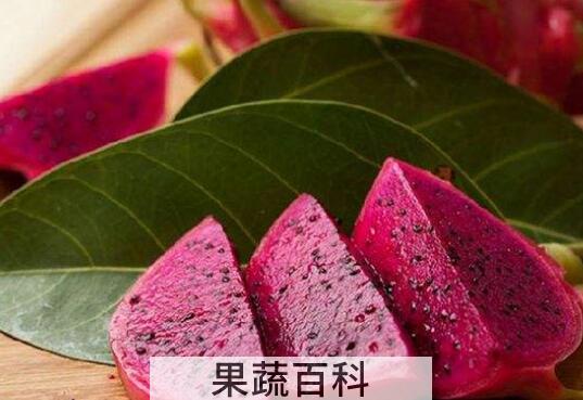 小孩吃火龙果的功效与作用