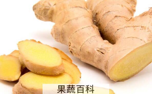 东材姜和普通姜的区别 吃东材姜的好处