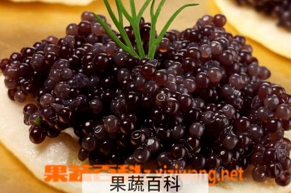 果蔬百科鱼子酱
