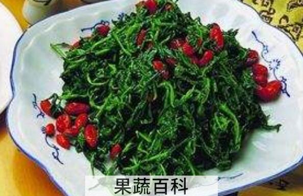 枸杞芽尖的功效与作用