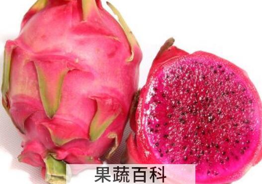 小火龙果和大火龙果的区别 吃火龙果的好处