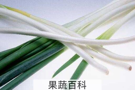 果蔬百科打呼噜怎么办