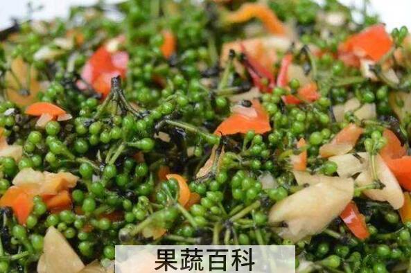 山胡椒怎么腌制 山胡椒的腌制方法