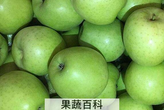 青蛇果和青苹果的区别 吃青蛇果的好处