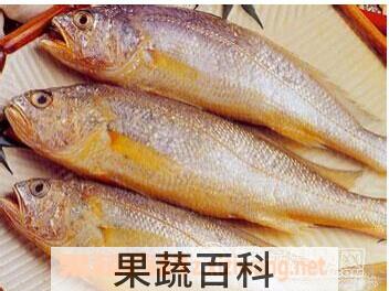 果蔬百科黄花鱼的营养价值