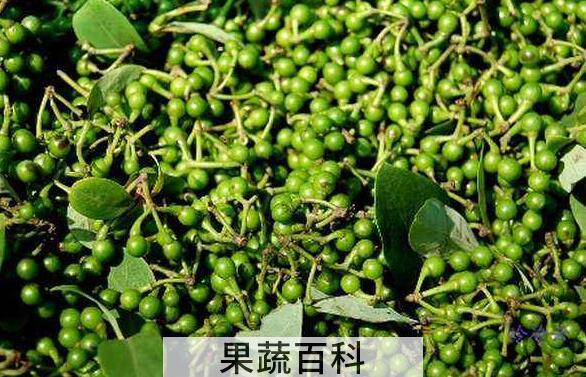 山胡椒的功效与作用及副作用