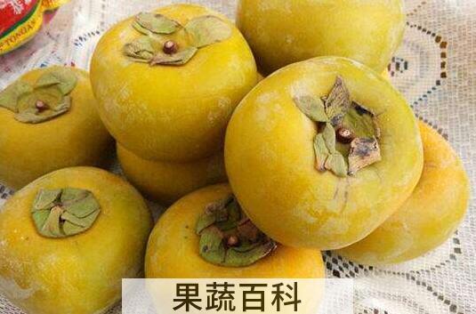 硬柿子和软柿子的区别