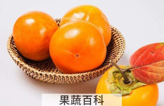 硬柿子和软柿子的区别
