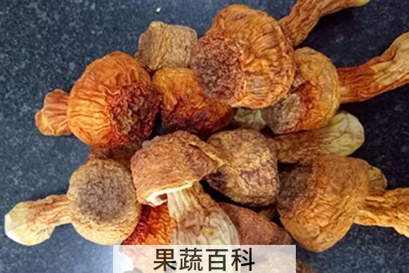 松菌菇的功效与作用 吃松菌菇的好处