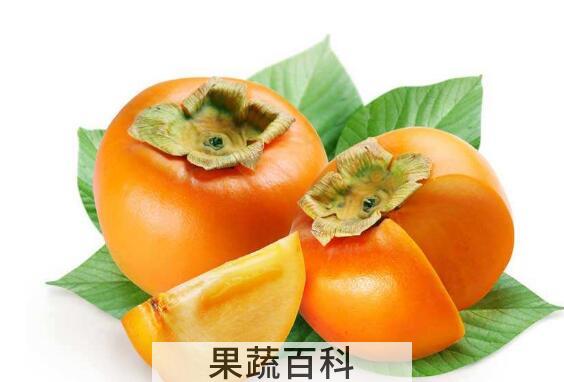 脆柿子的功效与作用 脆柿子的禁忌