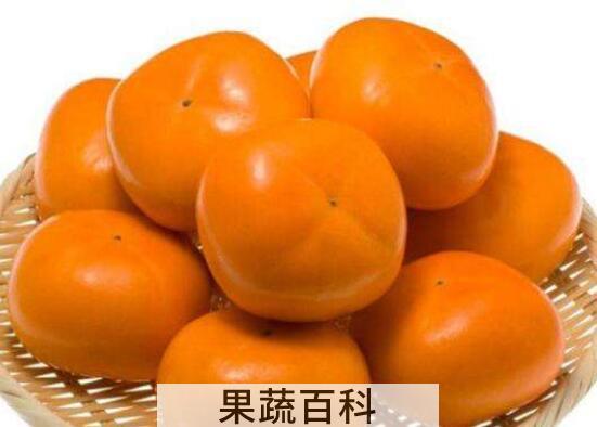 脆柿子的功效与作用 脆柿子的禁忌
