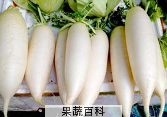 果蔬百科鼻子不通气怎么办