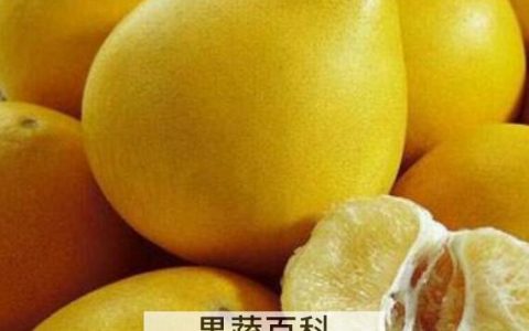 文旦和柚子的区别 吃柚子的好处