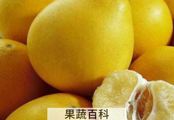 文旦和柚子的区别 吃柚子的好处