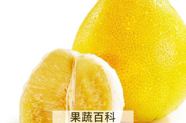 文旦和柚子的区别 吃柚子的好处