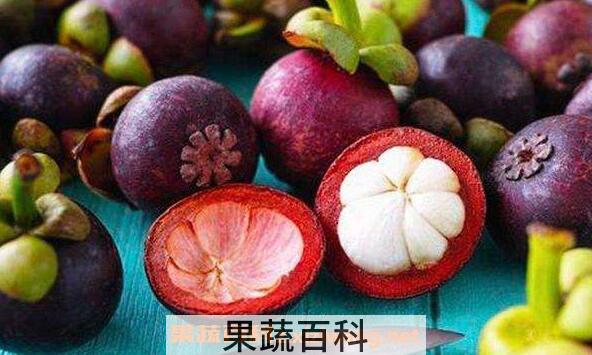 山竹怎么做茶 山竹茶叶的功效与作用