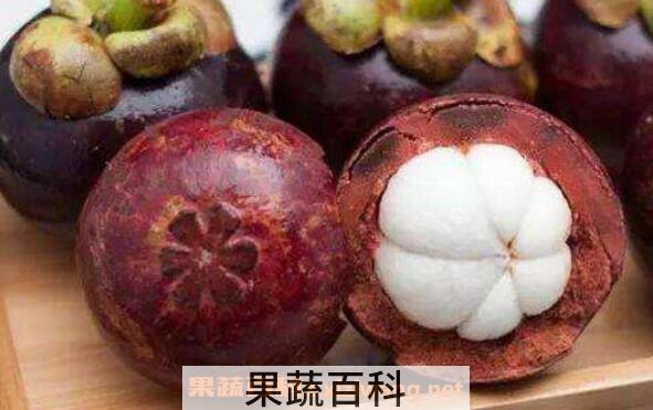山竹怎么做茶 山竹茶叶的功效与作用