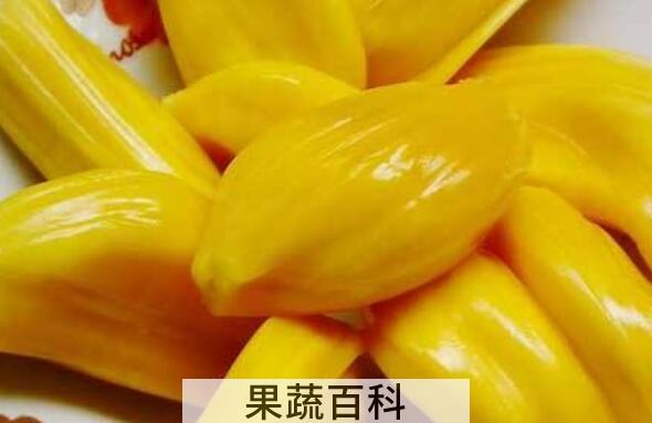 菠萝蜜的吃法 吃菠萝蜜的好处