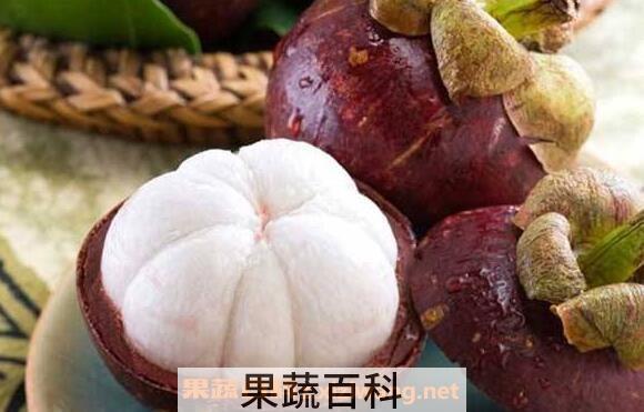山竹茶的功效与作用 山竹茶的副作用