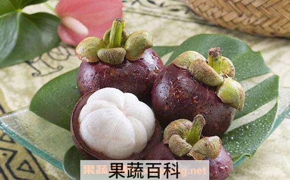 山竹茶的功效与作用 山竹茶的副作用