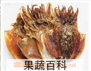 果蔬百科墨鱼干